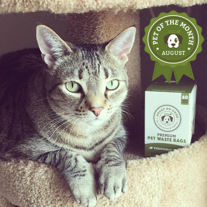 August 'Pet of the Month' Winner - Dan Dan!