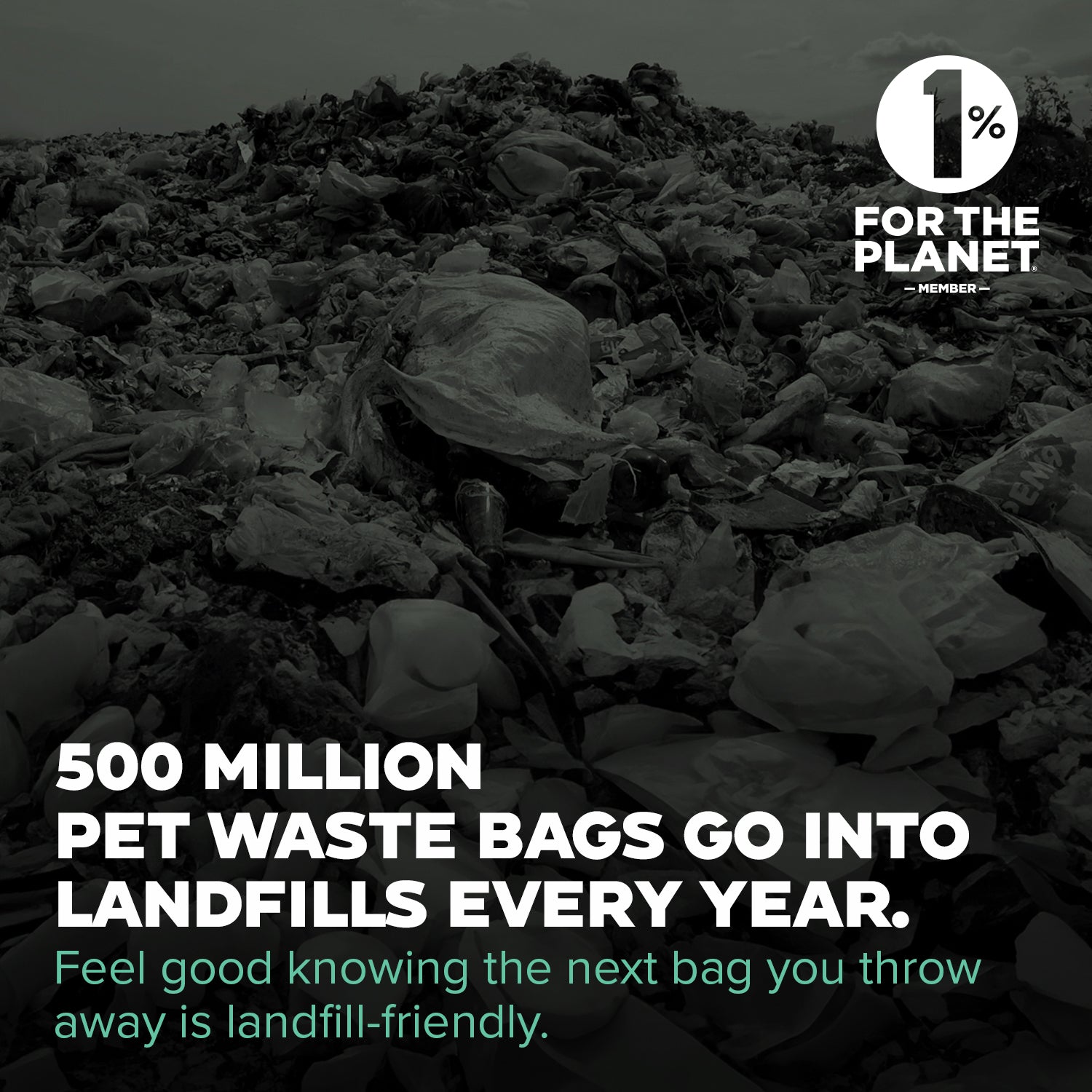 NEXT Landfill-Friendly Rolled Bags